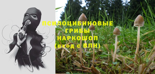 мдпв Богородицк