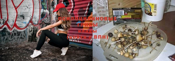 альфа пвп Россошь