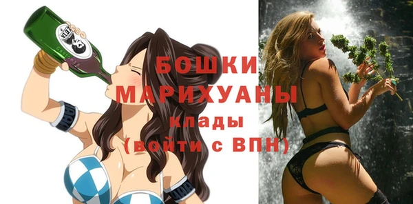 мдпв Богородицк