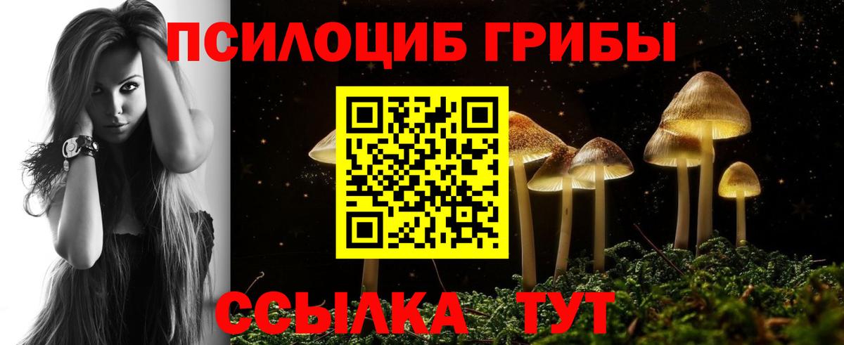 Бугульма  Псилоцибиновые грибы мицелий  Вход с VPN 