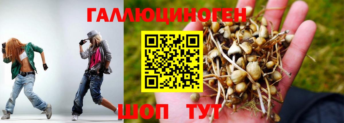 Псилоцибиновые грибы Psilocybe Бугульма